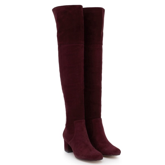 Sam Edelman Shoes - NIB! Sam Edelman Elina Over the Knee Boots in Wine